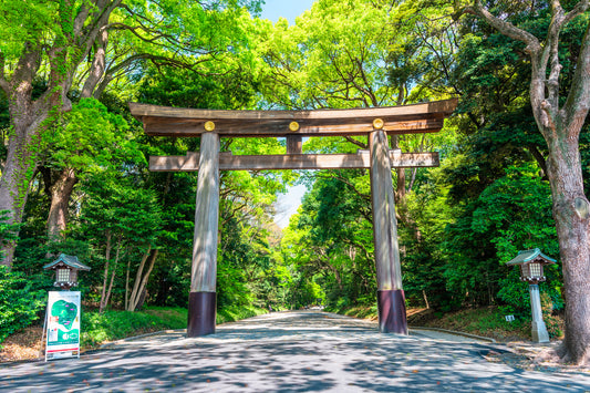 Meiji Shrine image