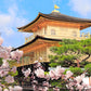 Japan Discovery: 6 Day Tour