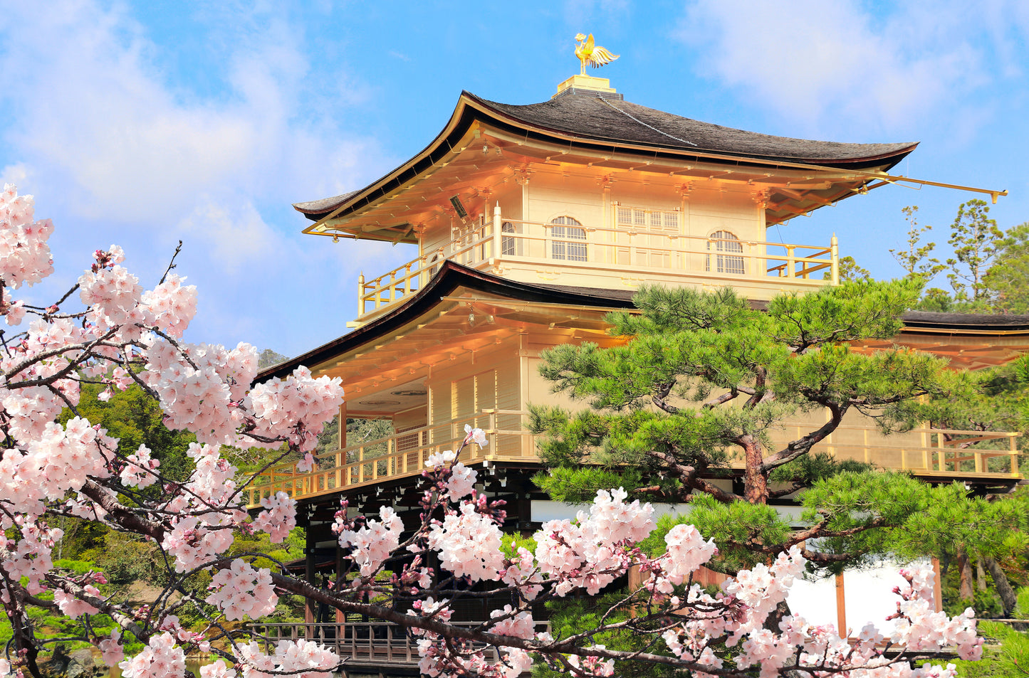 Japan Discovery: 6 Day Tour