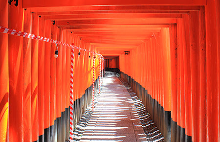 day tours kyoto image