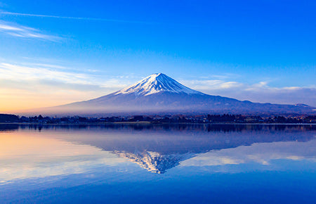 day tours mt fuji image